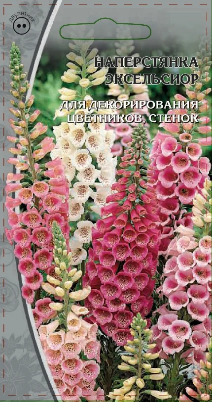 Миниатюра изображения сорта Эксельсиор 