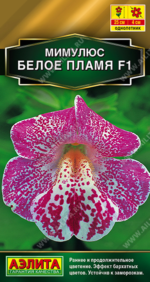 Белое пламя