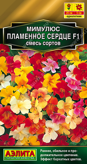 Пламенное сердце