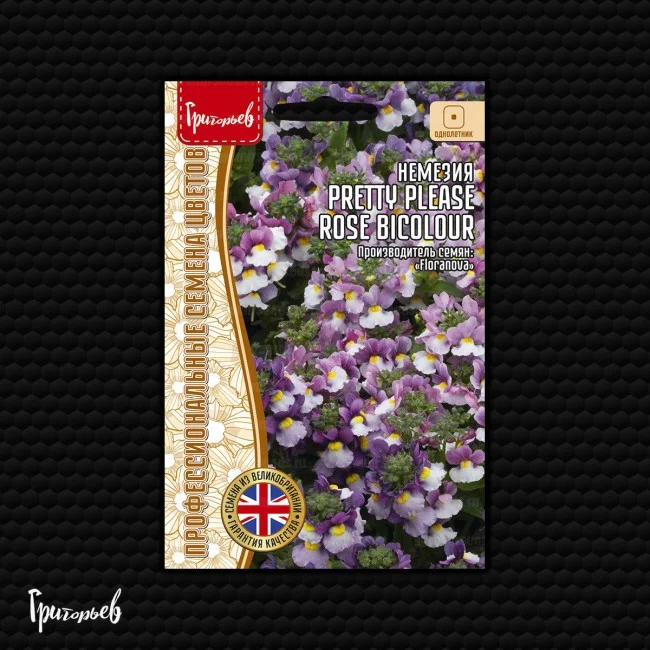 Pretty Please Rose Bicolour