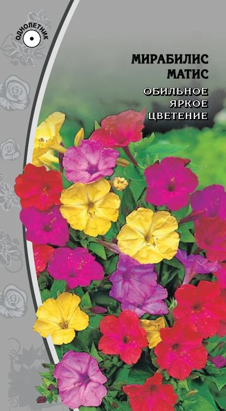 Миниатюра изображения сорта Матис