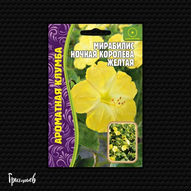 Ночная Королева Желтая