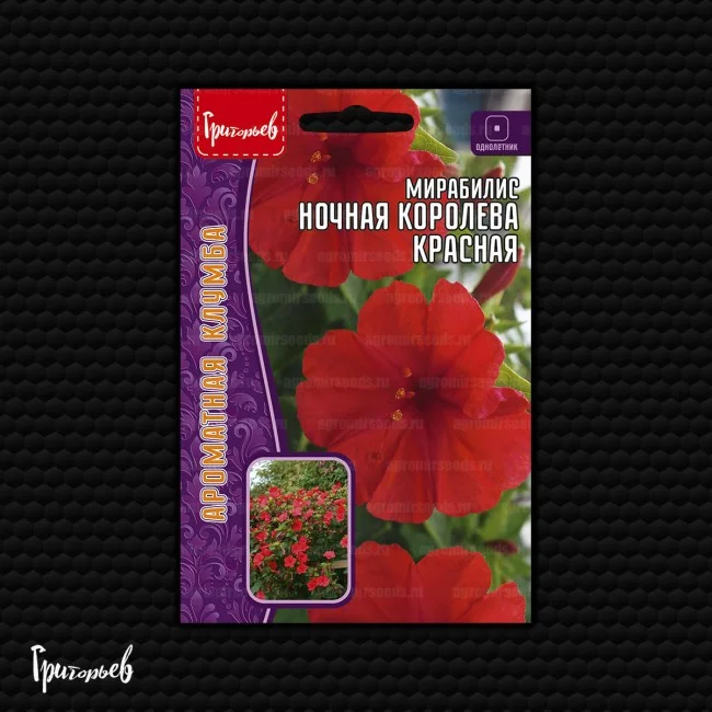 Ночная Королева Красная