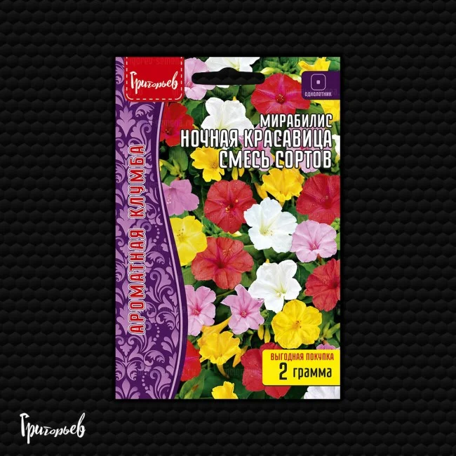 Ночная Красавица