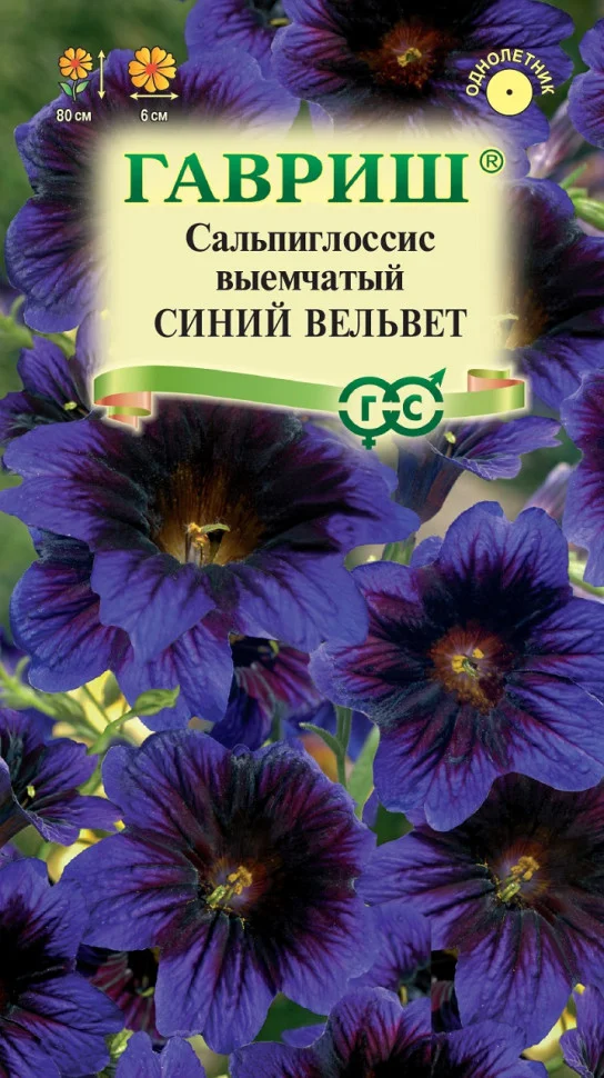 Синий вельвет