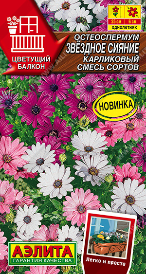 Звездное сияние