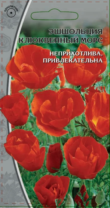 Миниатюра изображения сорта Клюквенный морс