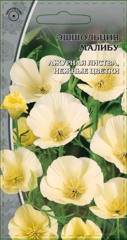 Миниатюра изображения сорта Малибу