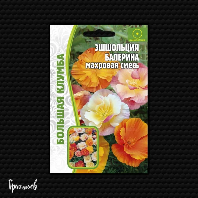 Миниатюра изображения сорта Балерина