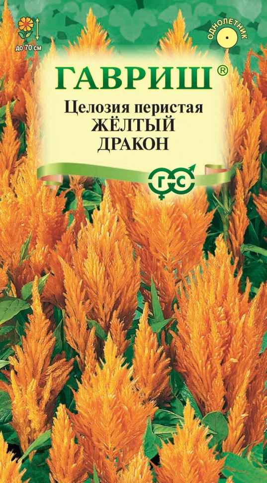 Желтый дракон