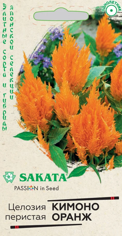 Кимоно Оранж 