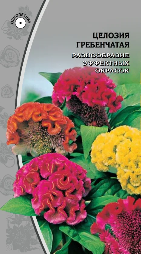 Гребенчатая смесь