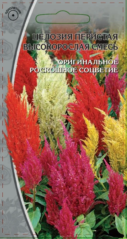 Высокорослая смесь