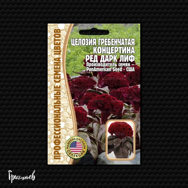 Concertina Red dark Leaf