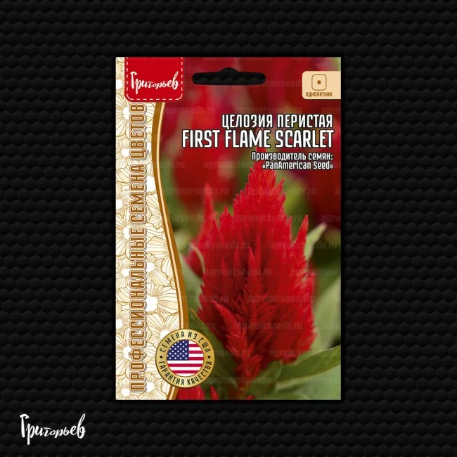 First Flame Scarlet