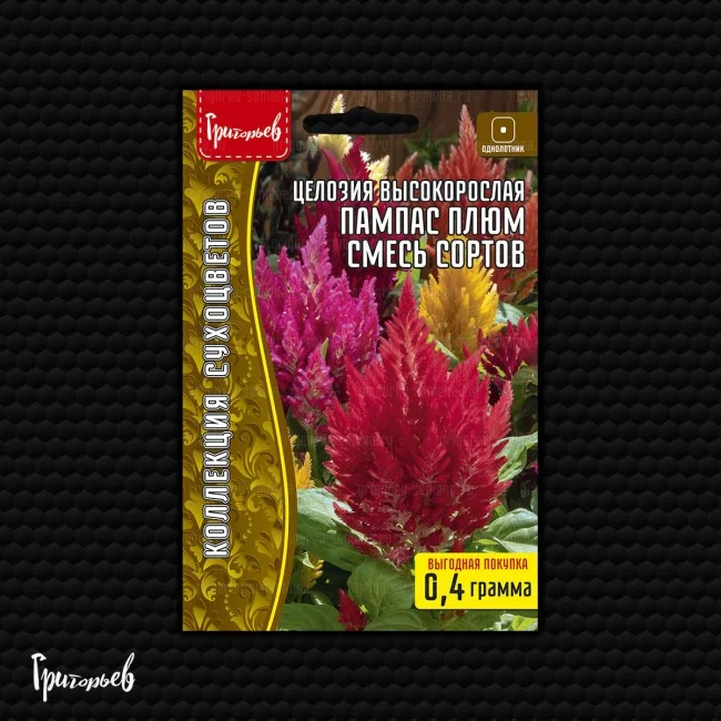 Пампас Плюм Смесь Сортов высокорослая