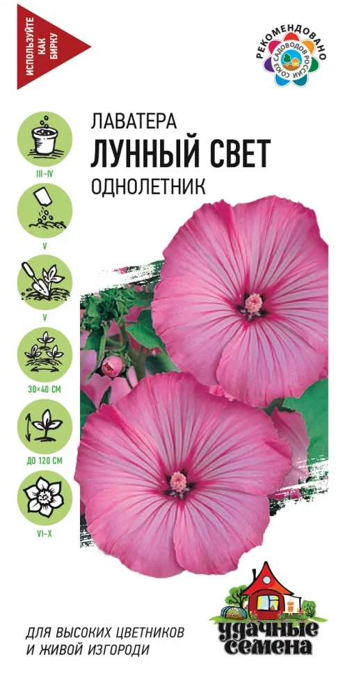 Лунный свет