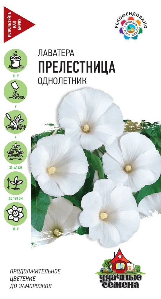 Прелестница