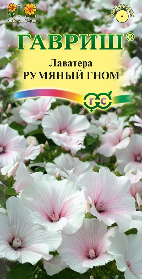 Румяный гном 