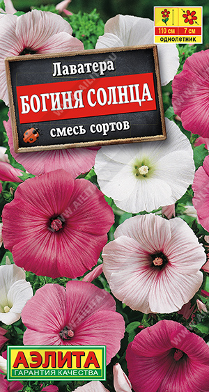 Богиня солнца