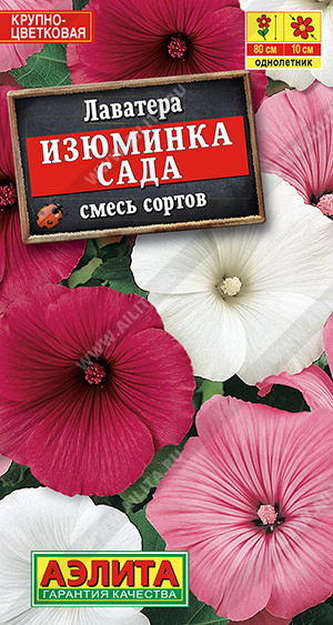 Изюминка сада