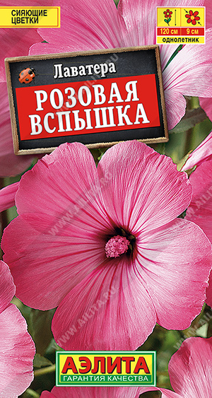 Розовая вспышка