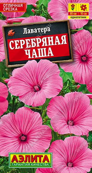 Серебряная чаша