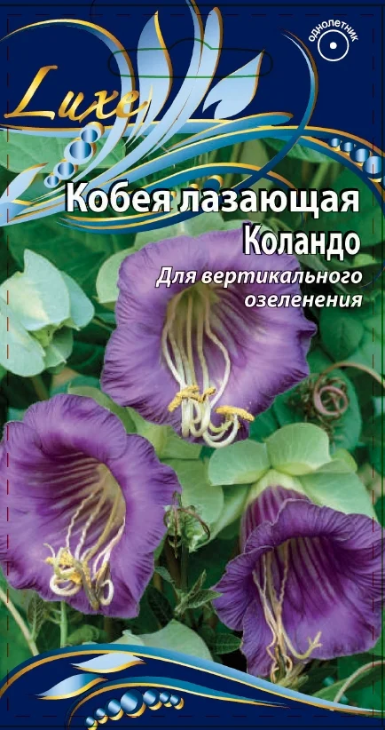 Миниатюра изображения сорта Каландо