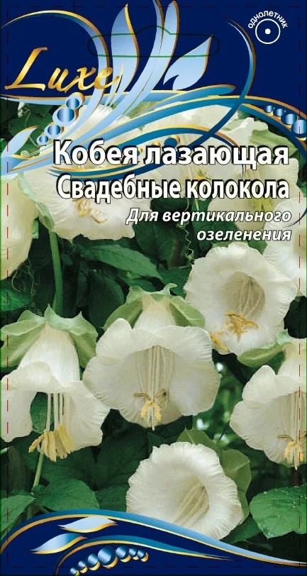 Миниатюра изображения сорта Свадебные колокола
