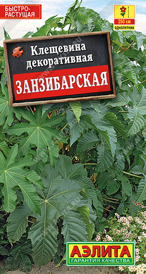 Занзибарская