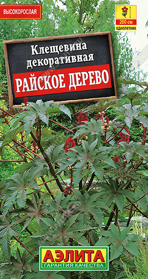 Райское дерево