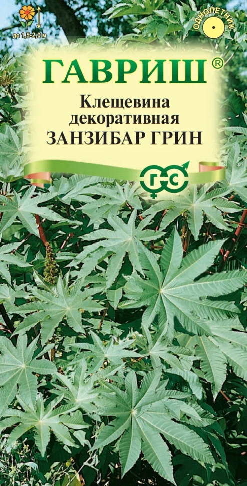 Занзибар Грин