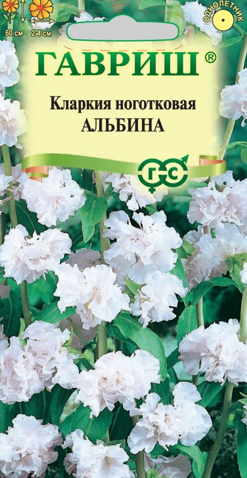 Альбина 