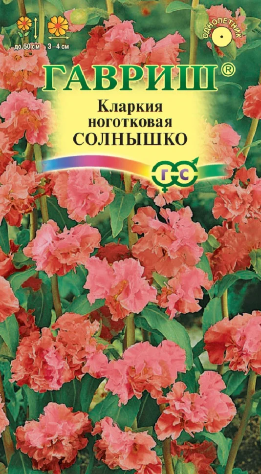 Солнышко