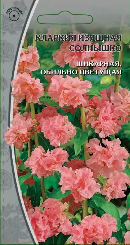 Миниатюра изображения сорта Солнышко