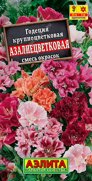 Азалиецветковая (смесь окрасок)