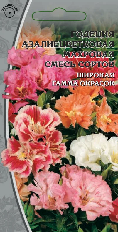 Миниатюра изображения сорта Азалиецветковая (смесь окрасок)