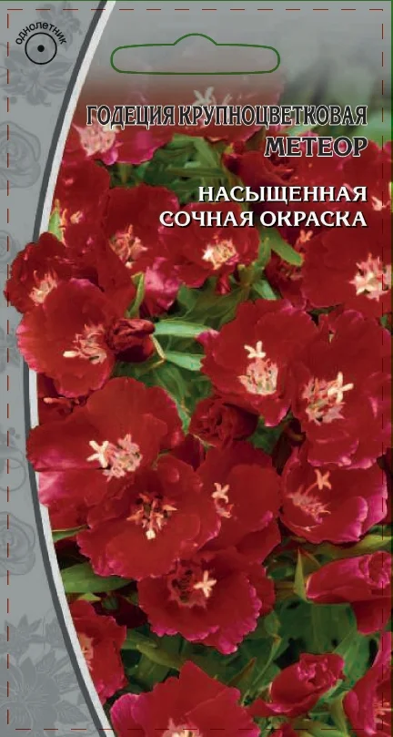 Миниатюра изображения сорта Метеор