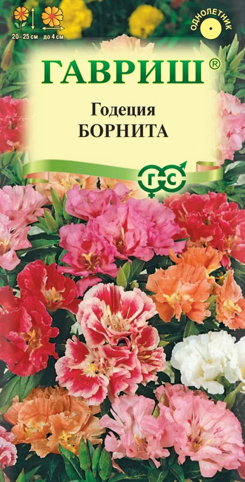 Борнита