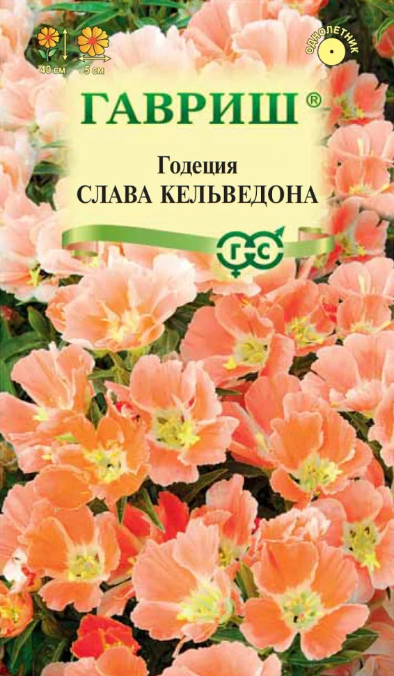 Слава Кельведона