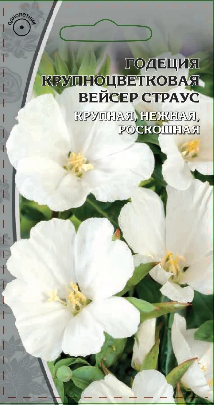 Вейсер Страус