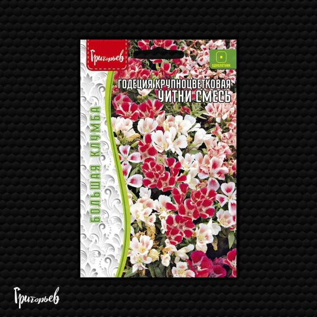 Уитни Смесь крупноцветковая