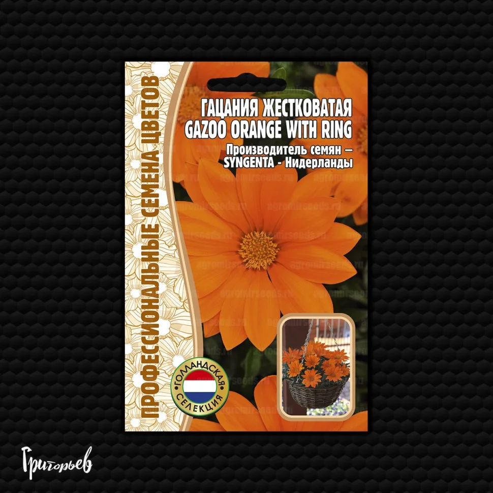 Gazoo Orange With Ring