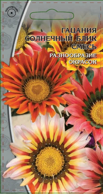 Солнечный блик