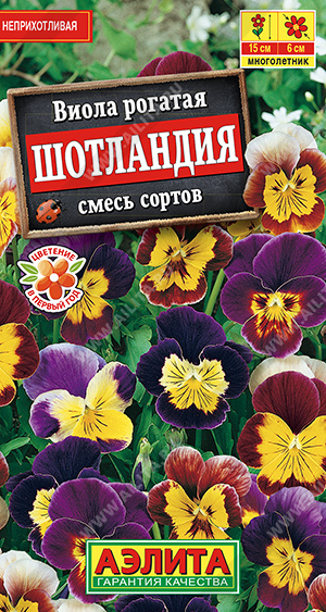 рогатая Шотландия, смесь окрасок