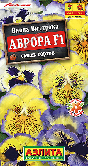 Аврора