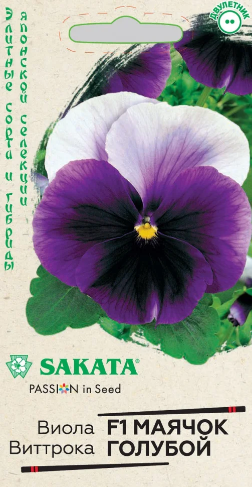 Маячок голубой