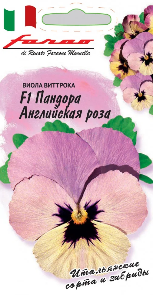 Пандора Английская Роза