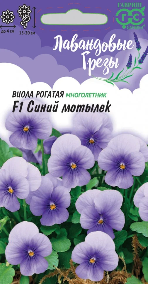 Синий мотылек 