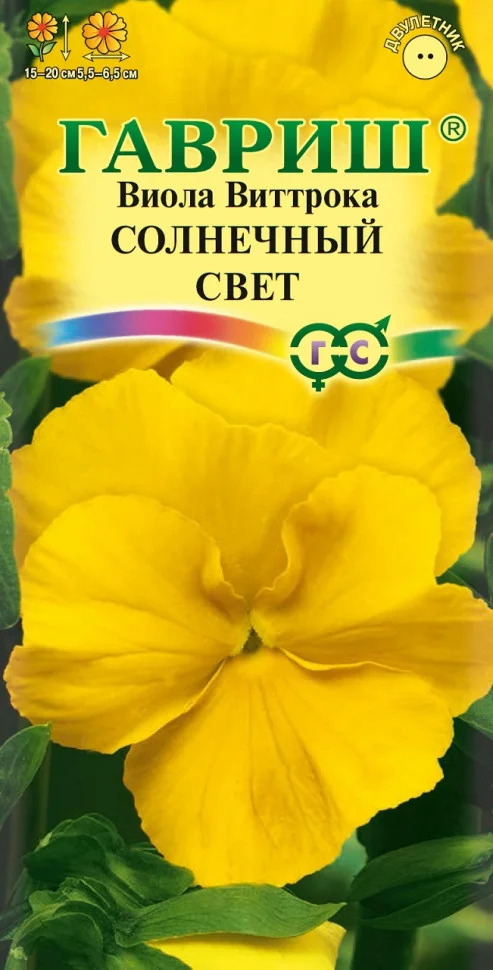 Солнечный свет